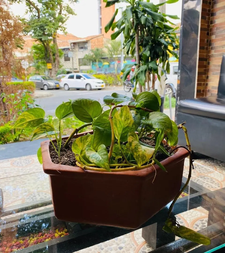 Hotel Tree House Medellín