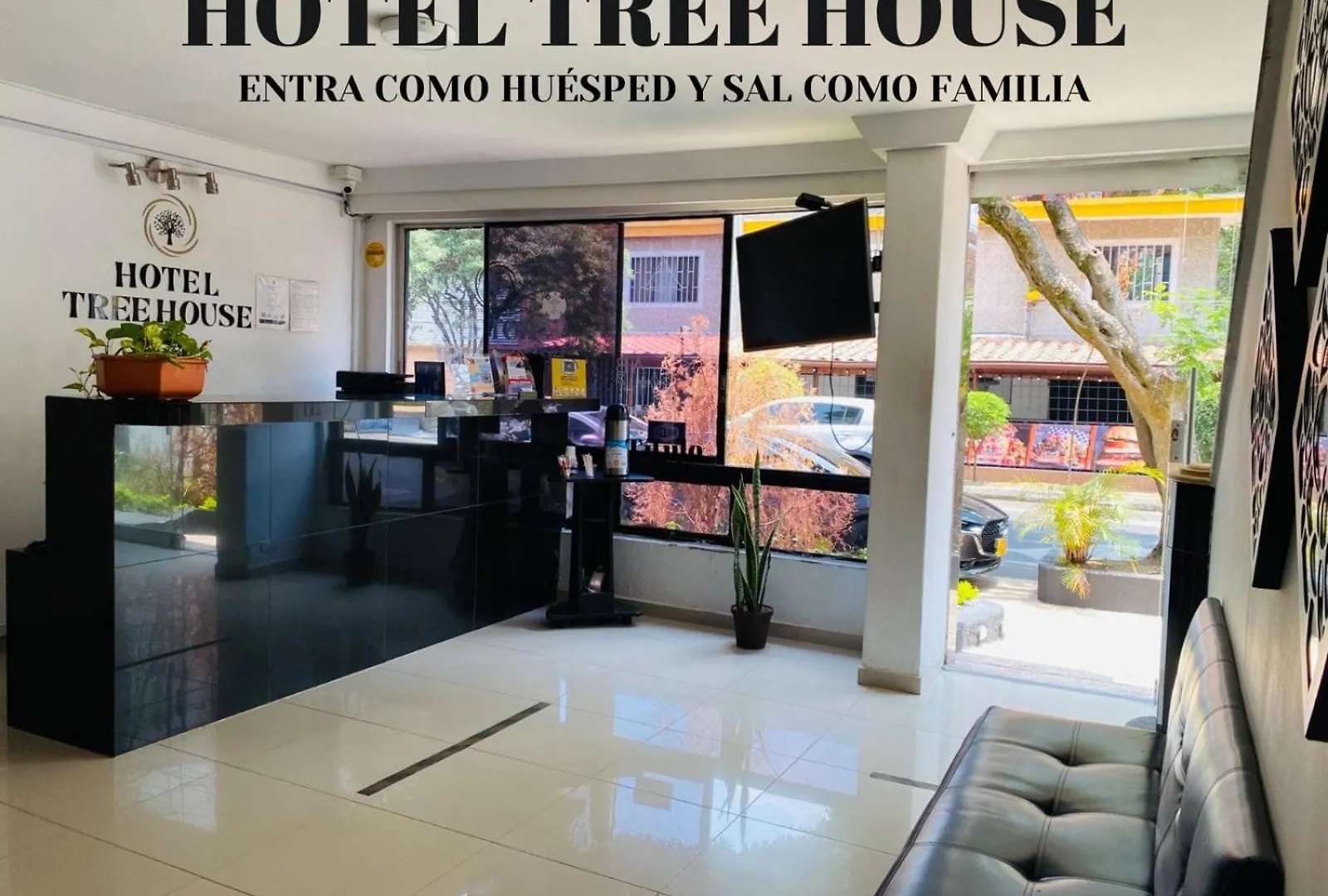 Hotel Tree House Medellín